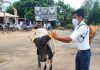 દ્વારકા : પોલીસની આ કામગીરી અન્ય જિલ્લાની પોલીસ માટે છે પથદર્શક