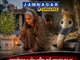 જામજોધપુર: મોટા વડીયા ગામે તુલસીના ક્યારામાં દીવો મૂકવા ગયેલા વૃદ્ધાનું સાપ કરડતાં મોત