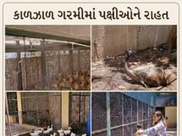 જામનગર: કાળઝાળ ગરમીમાં પક્ષીઘરમાં આધુનિક ‘ફોગર સિસ્ટમ’
