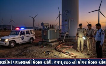 લાલપુર: પવનચક્કીઓમાંથી રૂ. ૫૫,૨૦૦ના કોપર કેબલની ચોરી