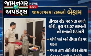 જામનગર: બ્યુટી પાર્લર સંચાલિકા બજારે ગયા ને પાછળથી તસ્કરો ત્રાટકયા, ૩ કલાકમાં ₹3.07 લાખની મત્તા સાફ